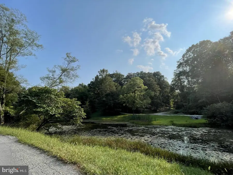 58 Birch Grove Ln, Berkeley Springs, WV 25411 - #2