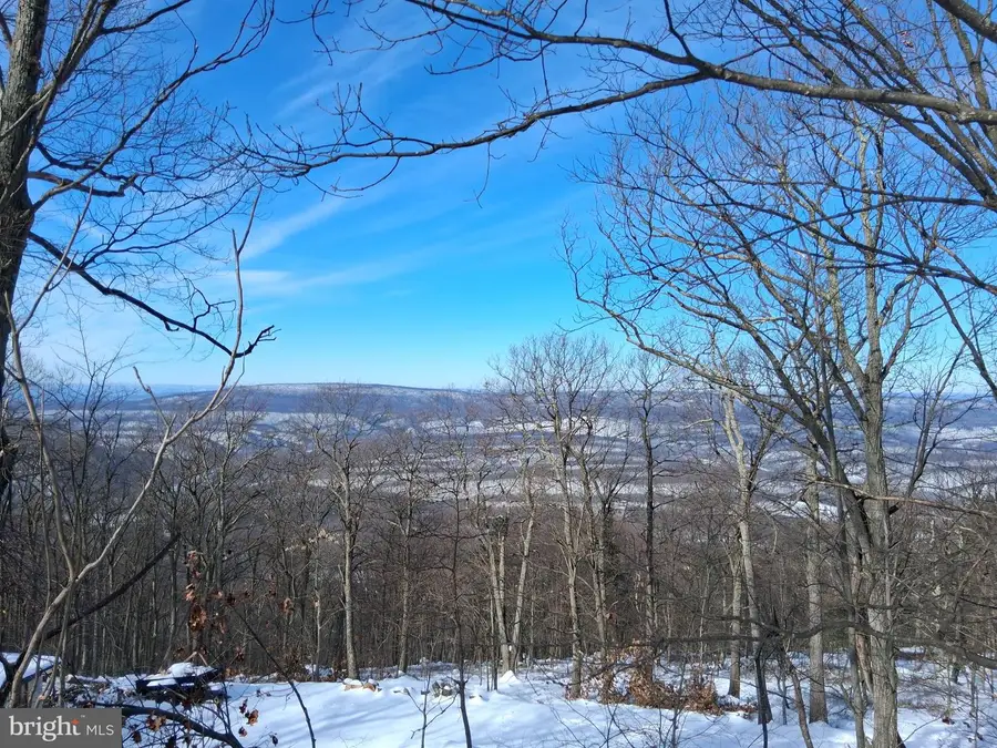 9b Fire Tower Road, Great Cacapon, WV 25422 - #3