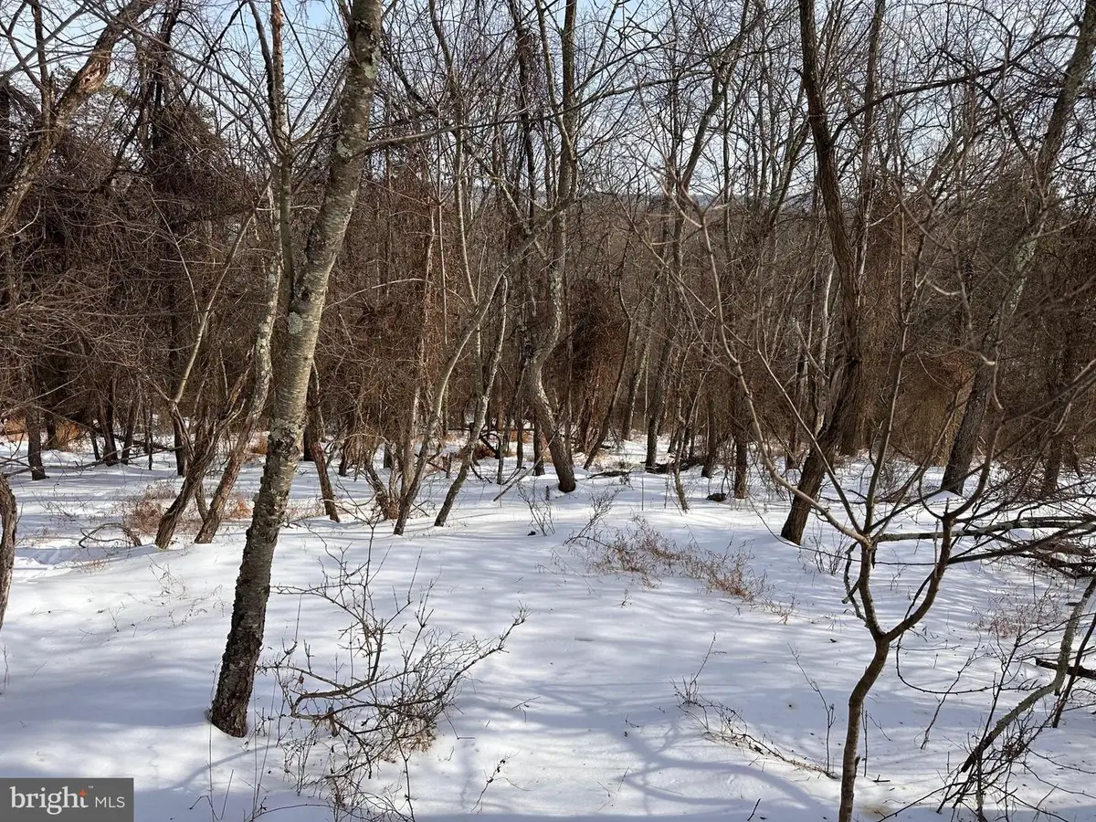 18.52ac Winchester Grade Road, Berkeley Springs, WV 25411 - #1