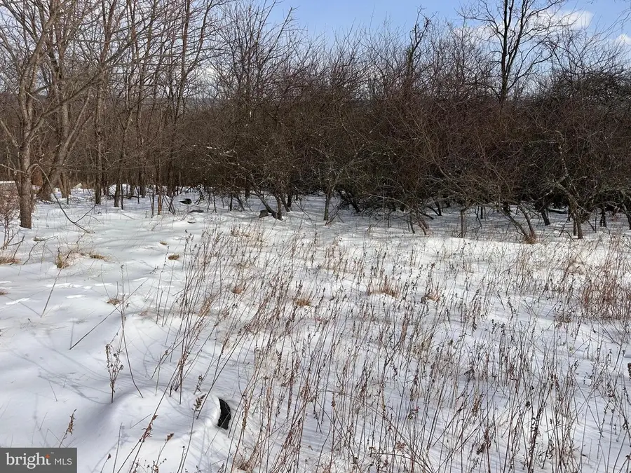 18.52ac Winchester Grade Road, Berkeley Springs, WV 25411 - #2