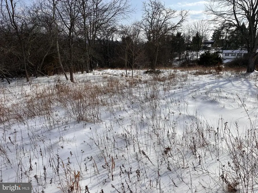 18.52ac Winchester Grade Road, Berkeley Springs, WV 25411 - #3