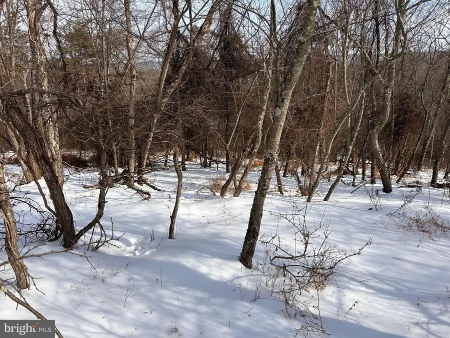 1.01 Ac Winchester Grade Road, Berkeley Springs, WV 25411 - #2