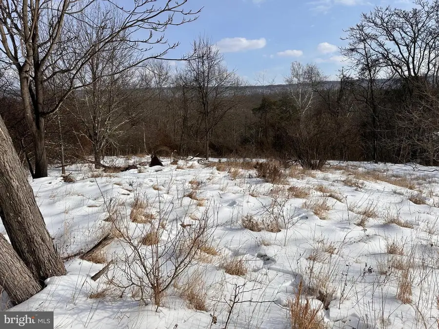 1.01 Ac Winchester Grade Road, Berkeley Springs, WV 25411 - #3