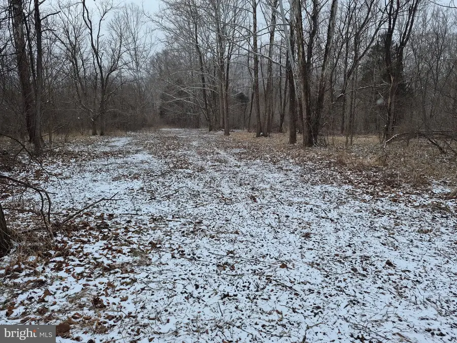 Low Line Rd, Great Cacapon, WV 25422 - #3