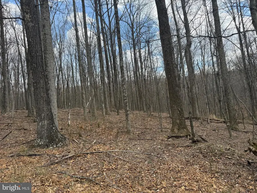 545 Hank Ln, Berkeley Springs, WV 25411 - #2