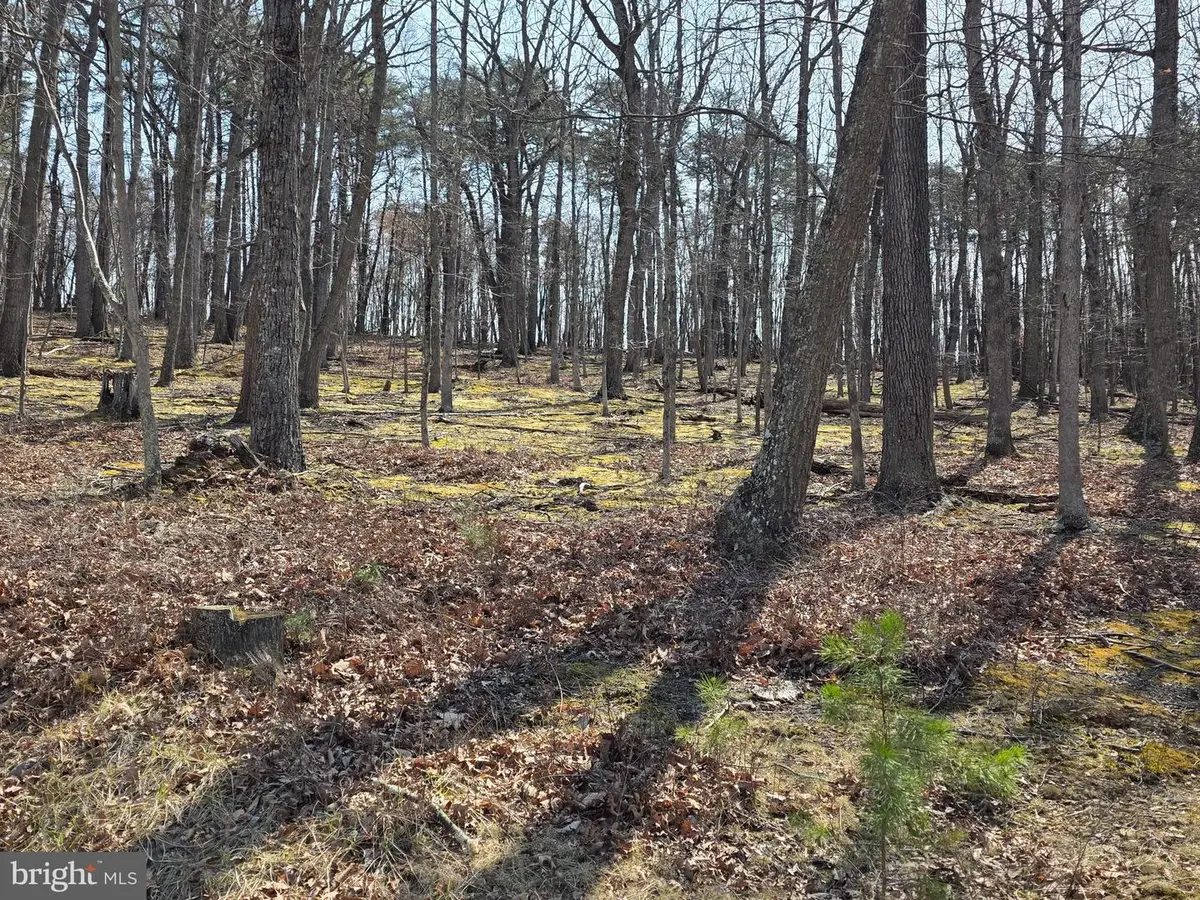 Hollybush Lane #lot 3 B, Berkeley Springs, WV 25411 - #1