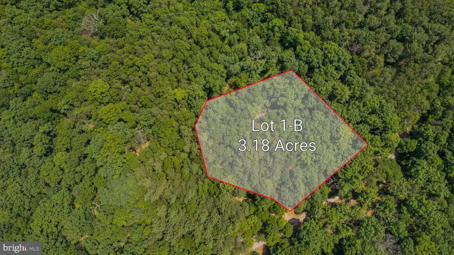 Loudan Lane, Berkeley Springs, WV 25411 - #2