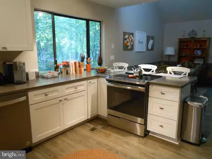 442 Foggy Bottom Ln, Berkeley Springs, WV 25411 - #2