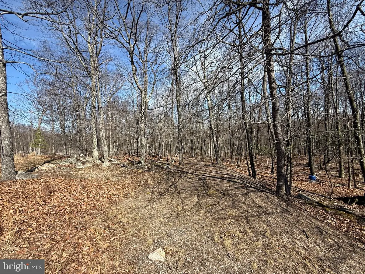 590 Parkside Terrace, Berkeley Springs, WV 25411 - #1