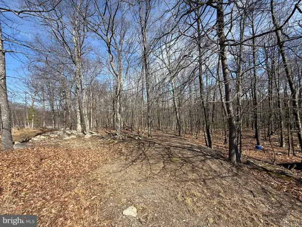 590 Parkside Terrace, BERKELEY SPRINGS, WV 25411