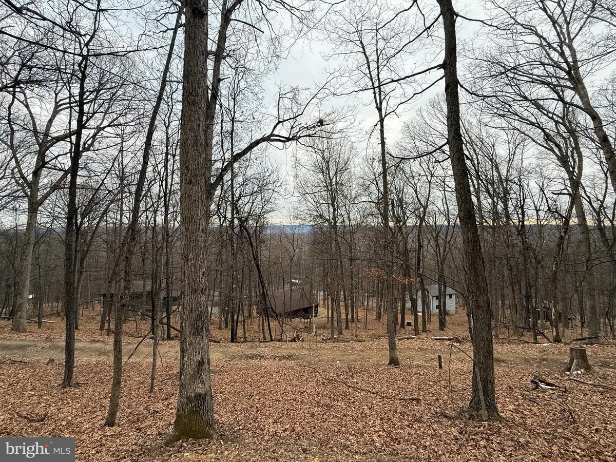 Warblers Way, Berkeley Springs, WV 25411 - #1