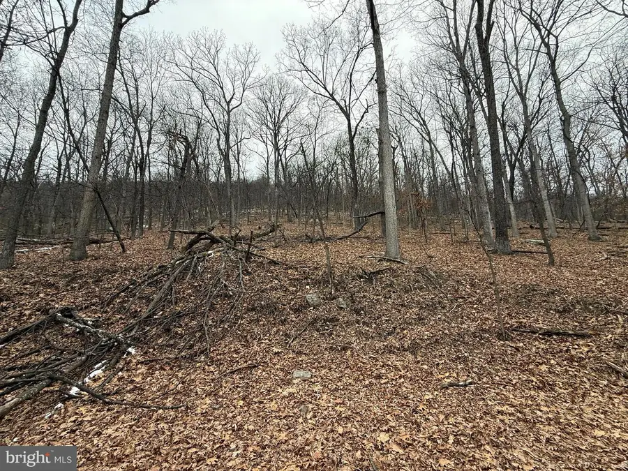 Warblers Way, Berkeley Springs, WV 25411 - #3