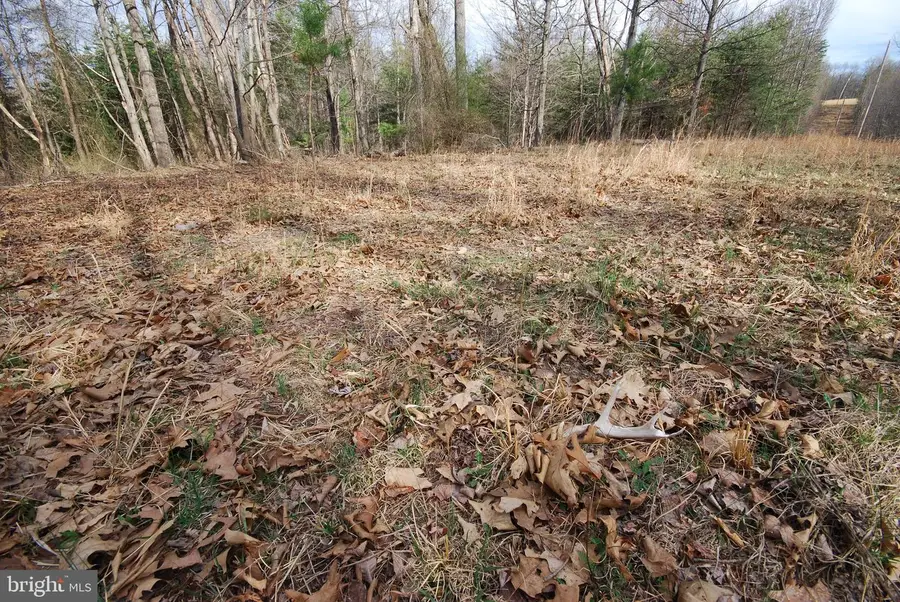 265 Lynch Ln, Berkeley Springs, WV 25411 - #2