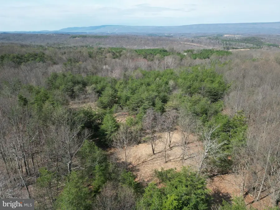 265 Lynch Ln, Berkeley Springs, WV 25411 - #3