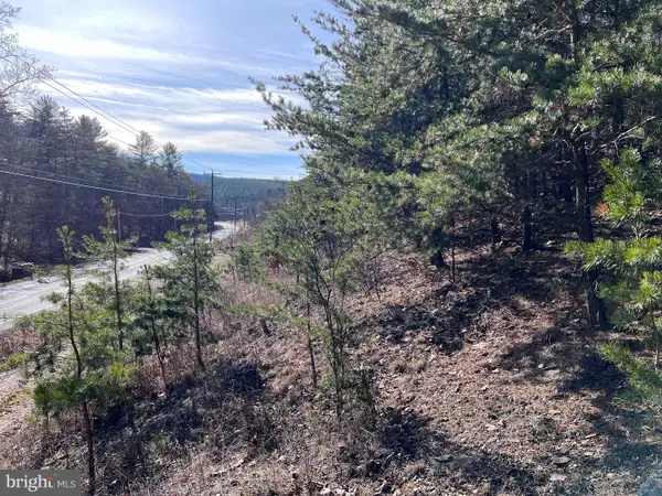 Winchester Grade Rd, BERKELEY SPRINGS, WV 25411