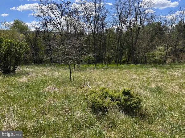 22.52 Ac Winchester Grade Road, BERKELEY SPRINGS, WV 25411