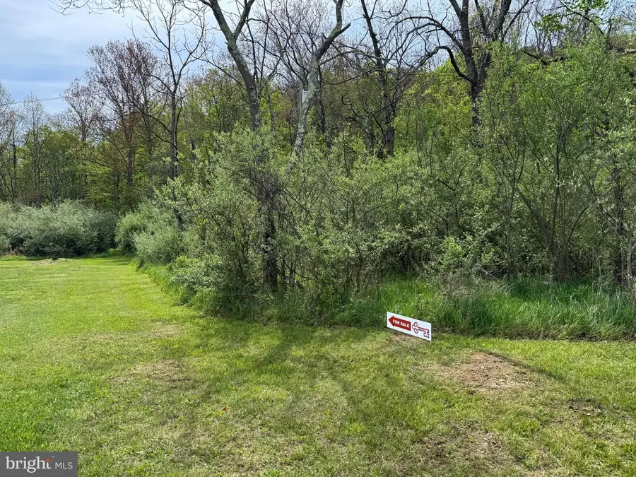 Tuscarora Trl #parcel B, Berkeley Springs, WV 25411 - #3