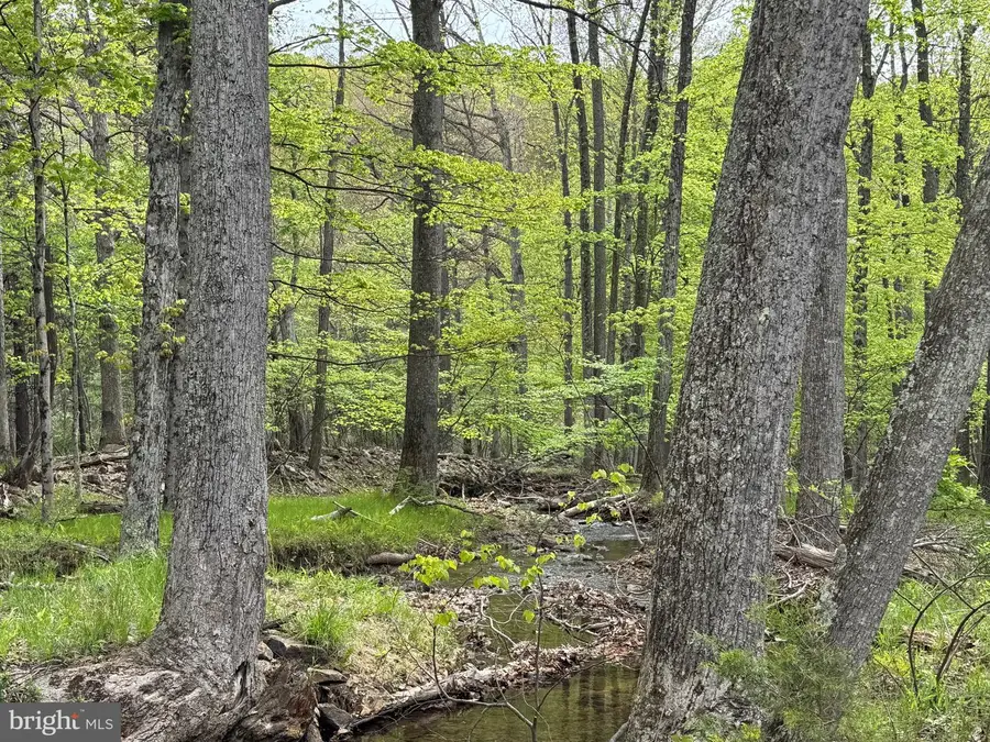 Rock Gap, Berkeley Springs, WV 25411 - #2