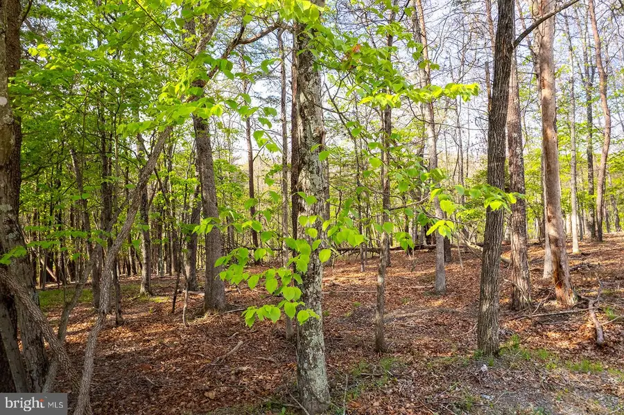 Kentucky Lane, Berkeley Springs, WV 25411 - #3