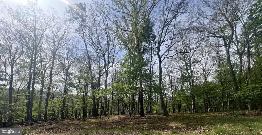 Butterfly Lane, Great Cacapon, WV 25422 - #2