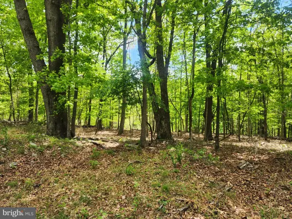 5 Acres Pine Grove Rd, BERKELEY SPRINGS, WV 25411