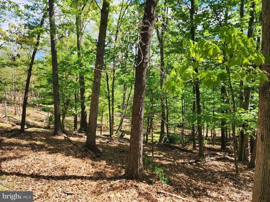 5 Acres Pine Grove Rd, Berkeley Springs, WV 25411 - #2