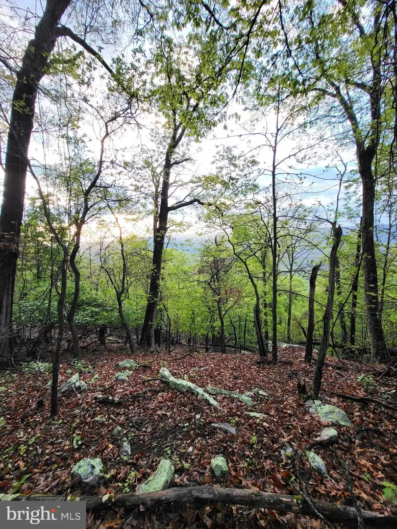 Lot 7 Justin Ln, Great Cacapon, WV 25422 - #3