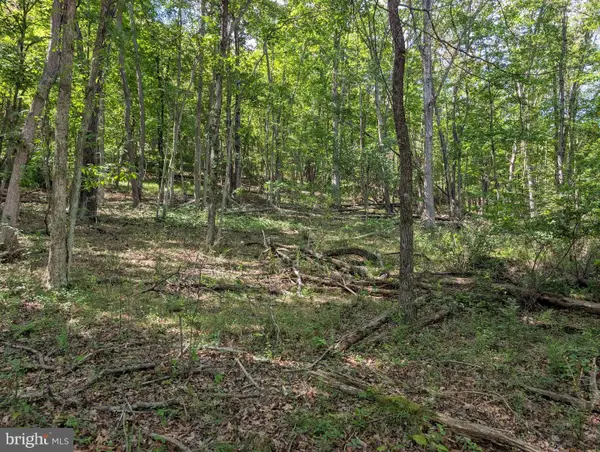 301 Bottom Rd, GREAT CACAPON, WV 25422