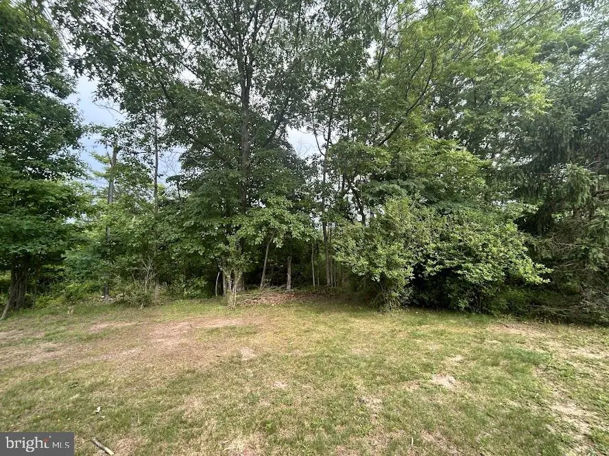 Lawyer Ln, Berkeley Springs, WV 25411 - #2