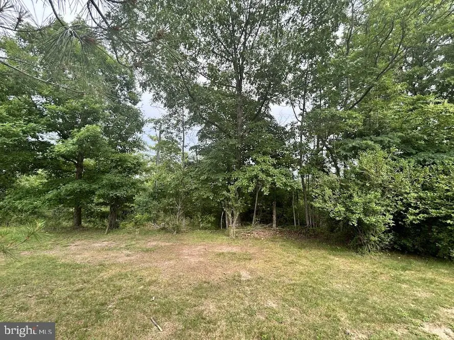 Lawyer Ln, Berkeley Springs, WV 25411 - #3
