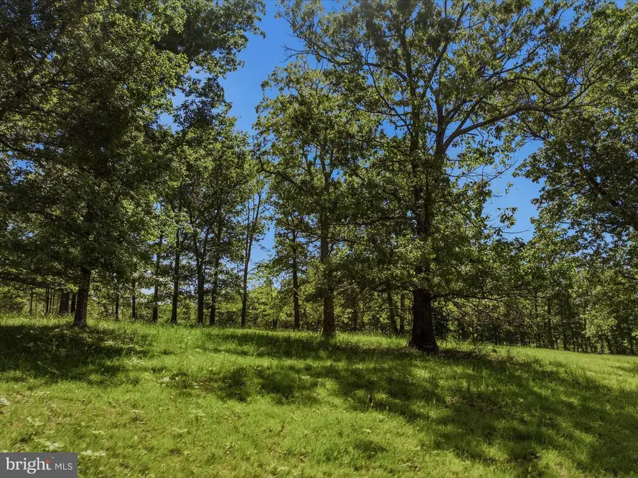 Forestview Drive, Berkeley Springs, WV 25411 - #3