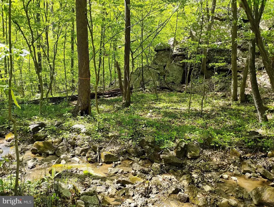 Sir Johns Run Rd, Berkeley Springs, WV 25411 - #3