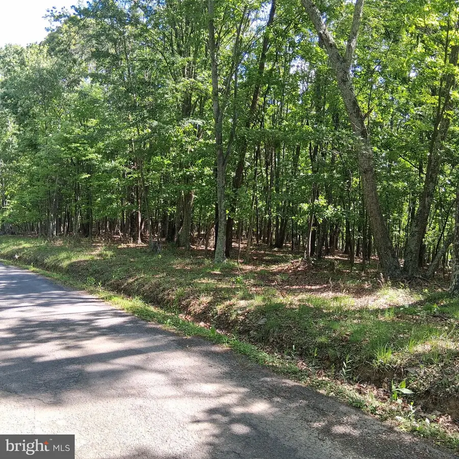 Lot 1 Youngblood Road, Great Cacapon, WV 25422 - #2