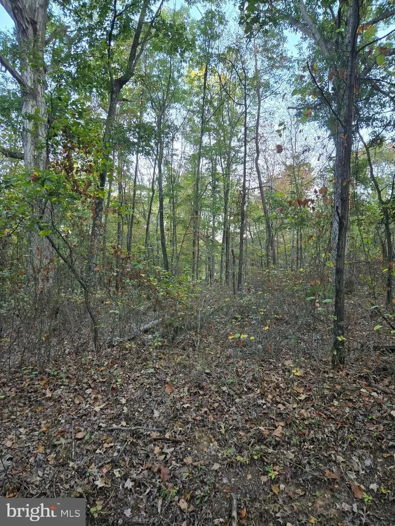 Hungaria Rd, Berkeley Springs, WV 25411 - #3