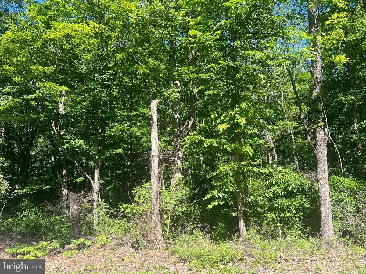 Cold Run Valley Road, Berkeley Springs, WV 25411 - #1