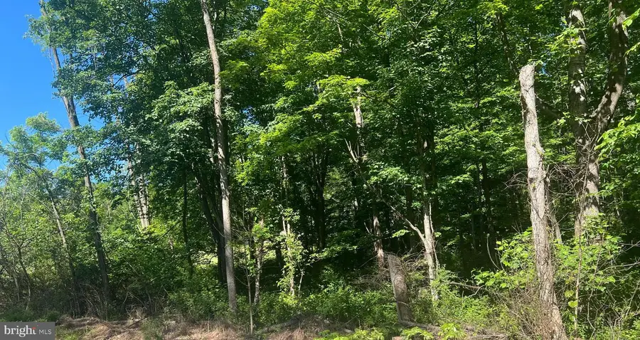 Cold Run Valley Road, Berkeley Springs, WV 25411 - #2