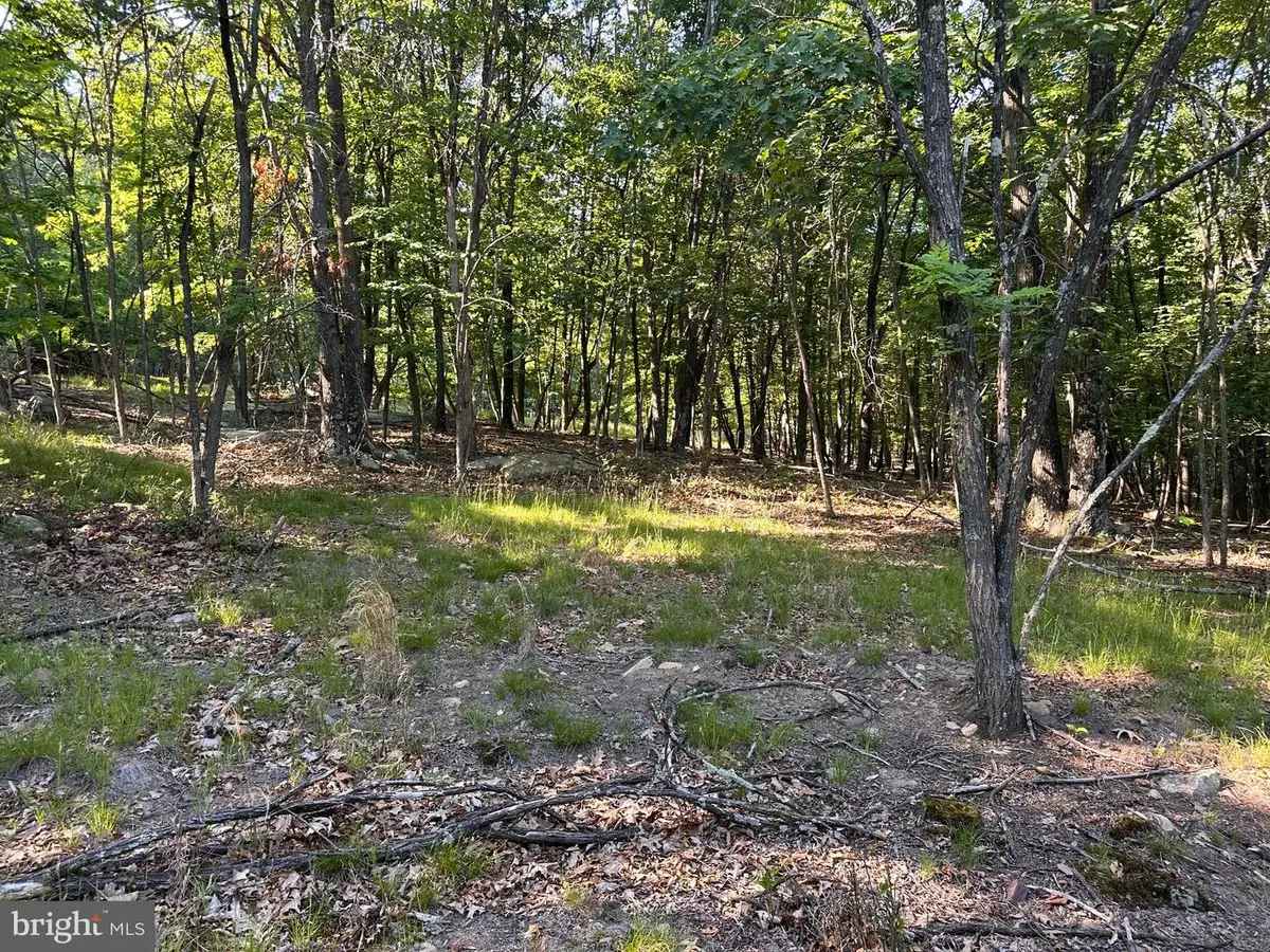 Lot 56 Parkside Drive, Berkeley Springs, WV 25411 - #1