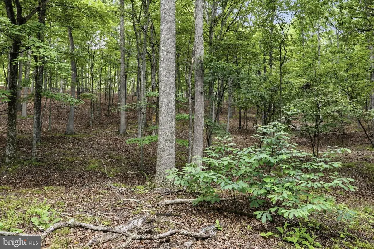 0 Pioneer Trail Trl, Great Cacapon, WV 25422 - #1