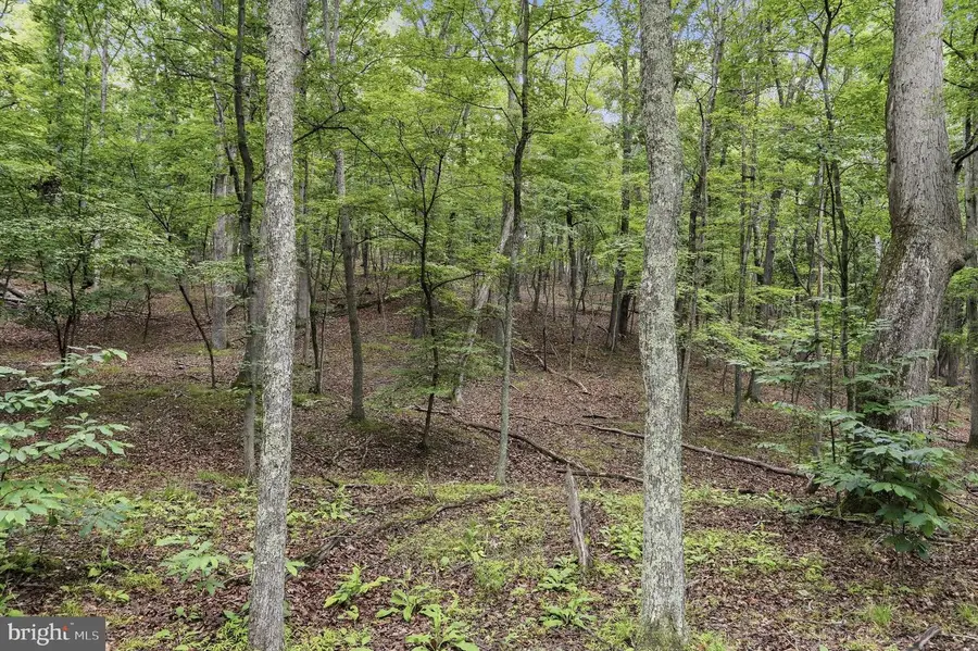 0 Pioneer Trail Trl, Great Cacapon, WV 25422 - #2