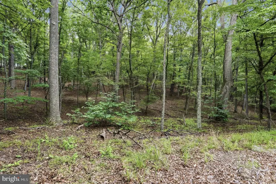 0 Pioneer Trail Trl, Great Cacapon, WV 25422 - #3