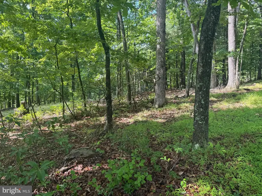 133 Pepper Ln, Great Cacapon, WV 25422 - #2