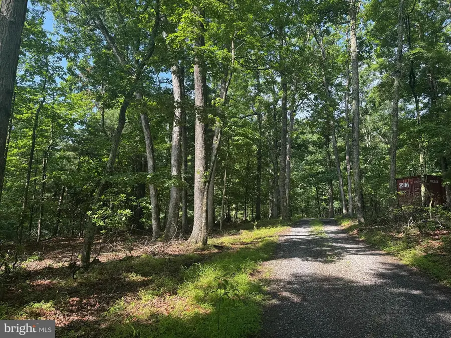 133 Pepper Ln, Great Cacapon, WV 25422 - #3