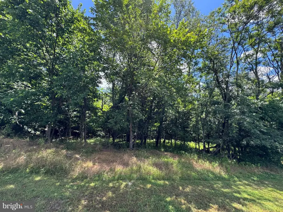 522 #sand Mine Rd Corner, Berkeley Springs, WV 25411 - #3