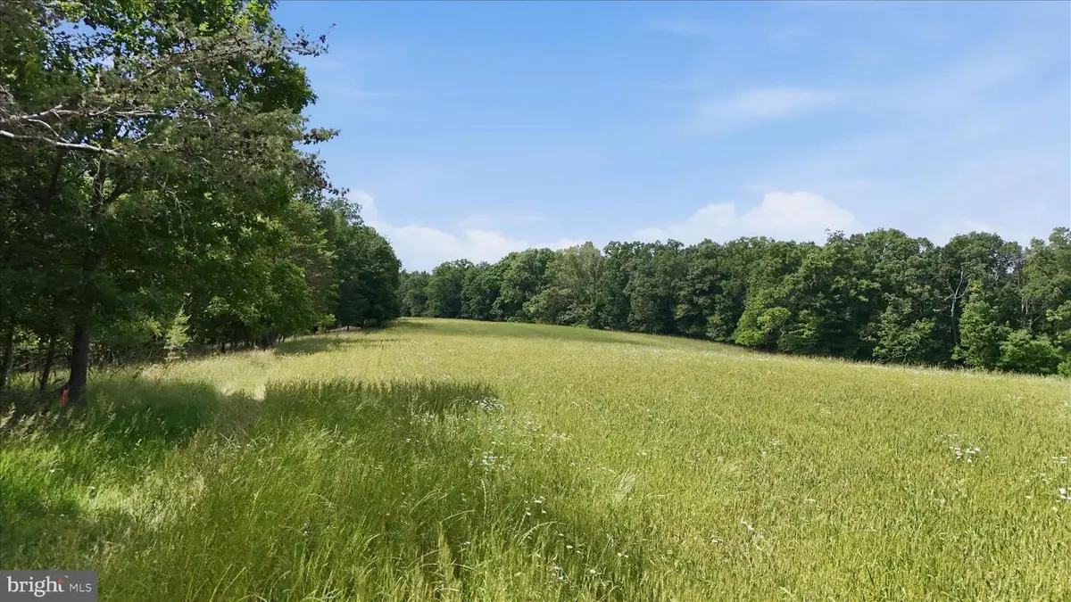 Posey Hollow, Berkeley Springs, WV 25411 - #1