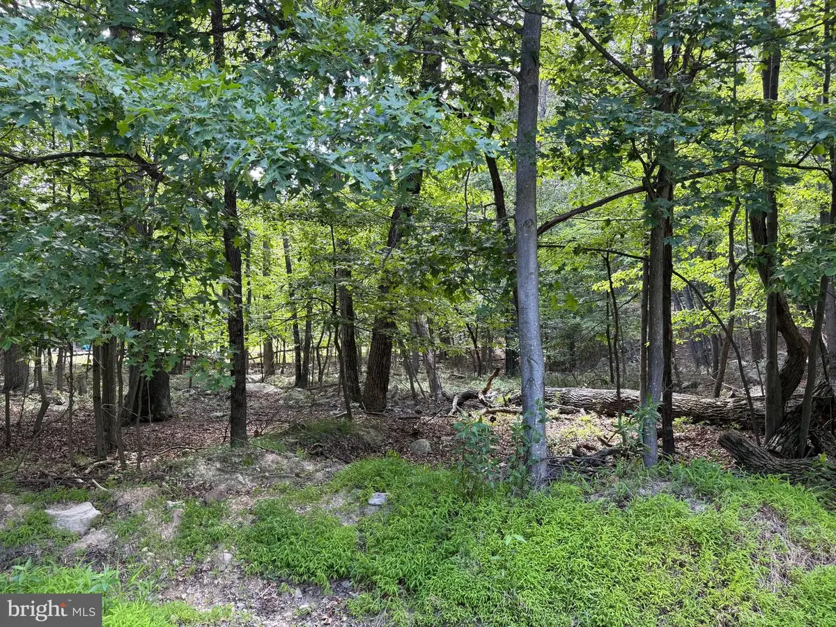Roberts Rd, Great Cacapon, WV 25422 - #1