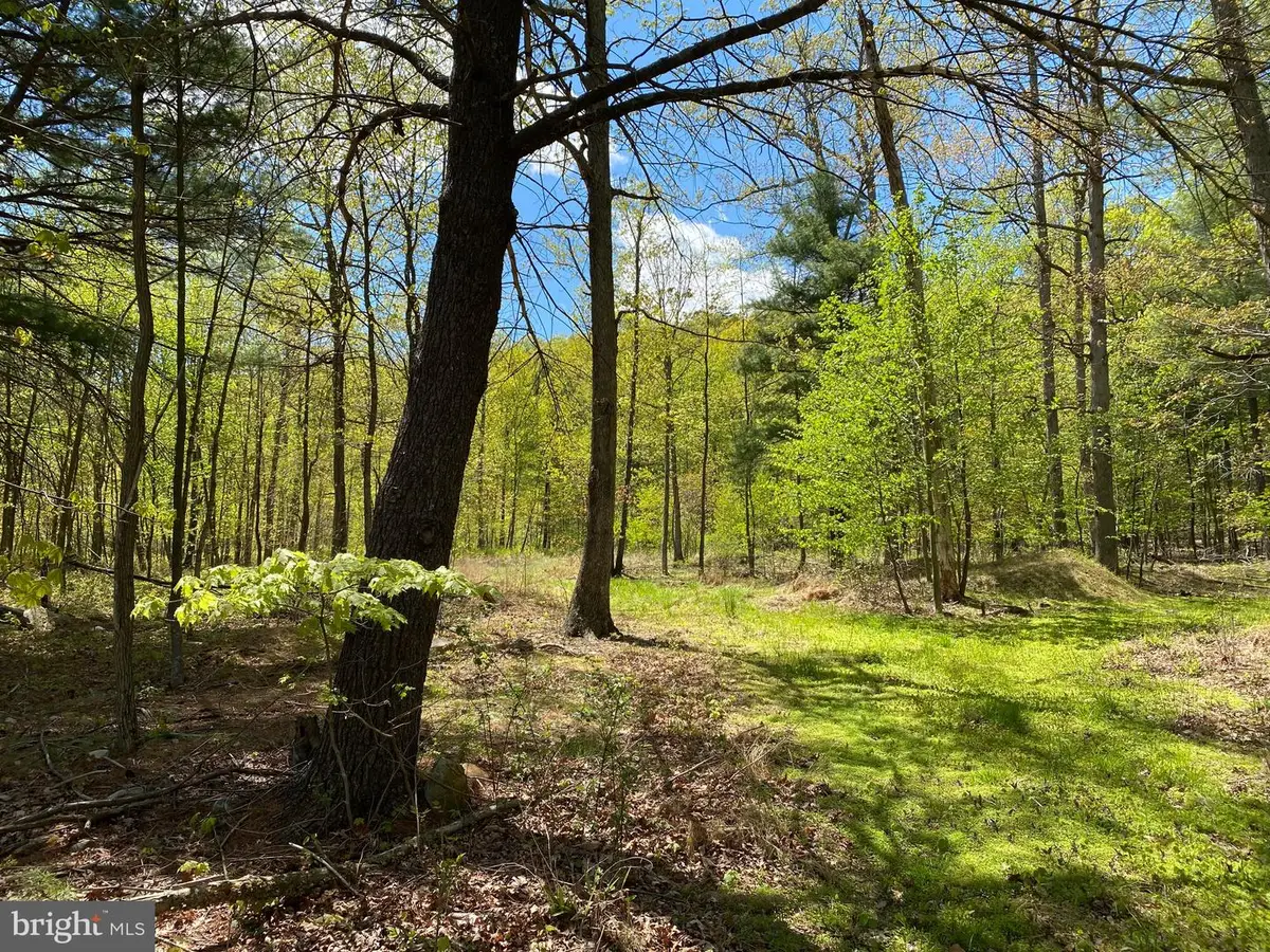 84 Alex Ln, Berkeley Springs, WV 25411 - #1