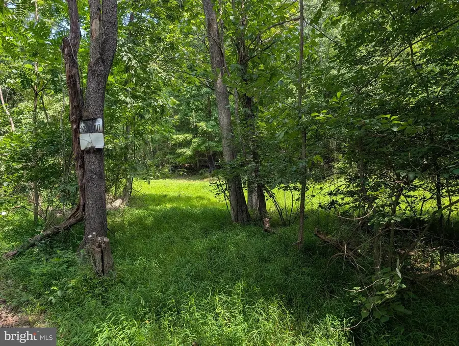 Grasshopper Hollow/sir John's Run #p/o Par 32, Berkeley Springs, WV 25411 - #3