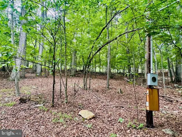 Lot 2 Pepper Ln, Great Cacapon, WV 25422 - #2