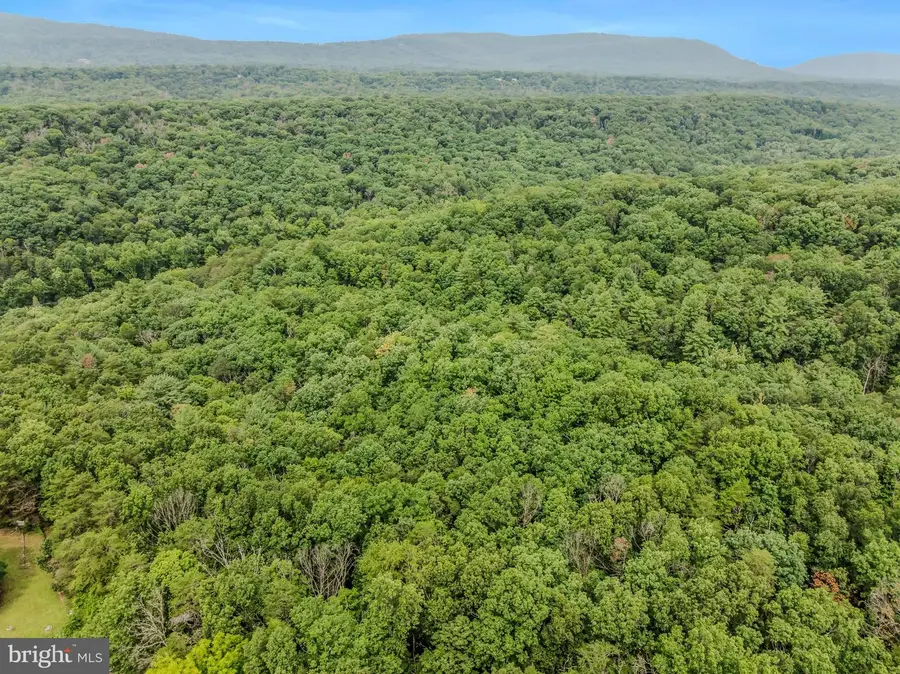 Cacapon Retreat Lane, Great Cacapon, WV 25422 - #3