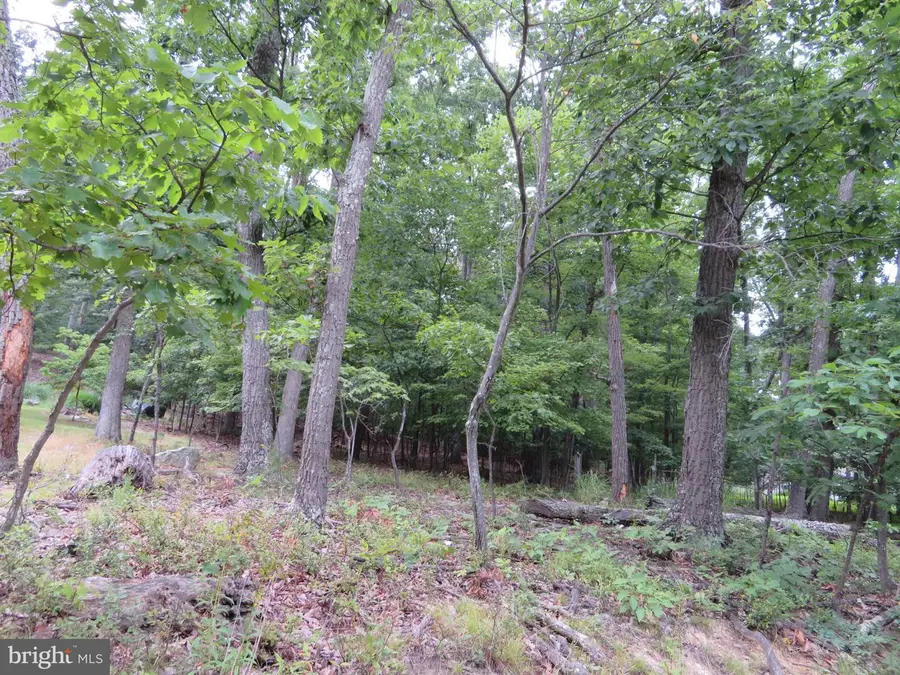 Lot 11 Audubon Rd, Hedgesville, WV 25427 - #3